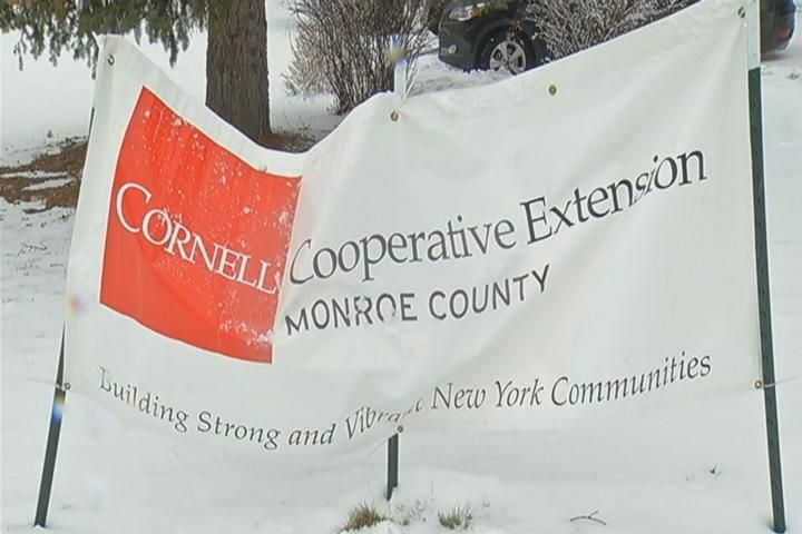 Cornell cooperative extension nyc jobs